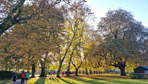 Baysgarth Park parkrun