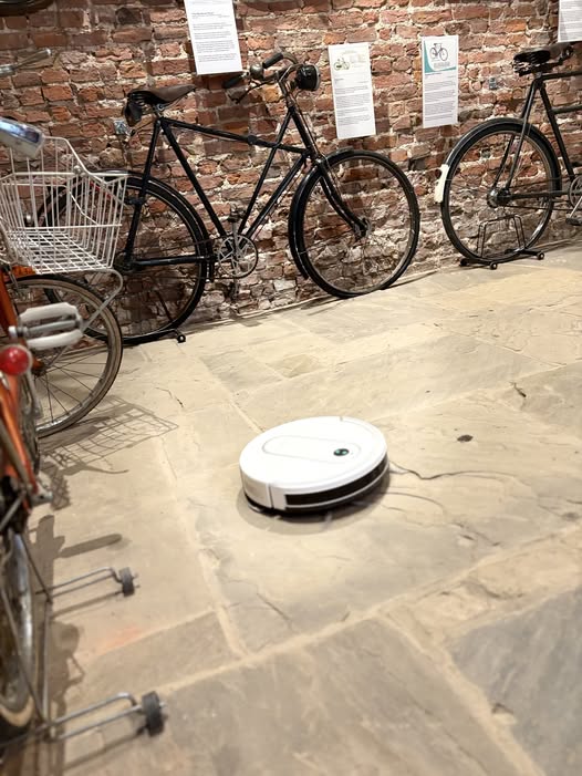 Meet the Team – Ned the robot Vacuum Cleaner!