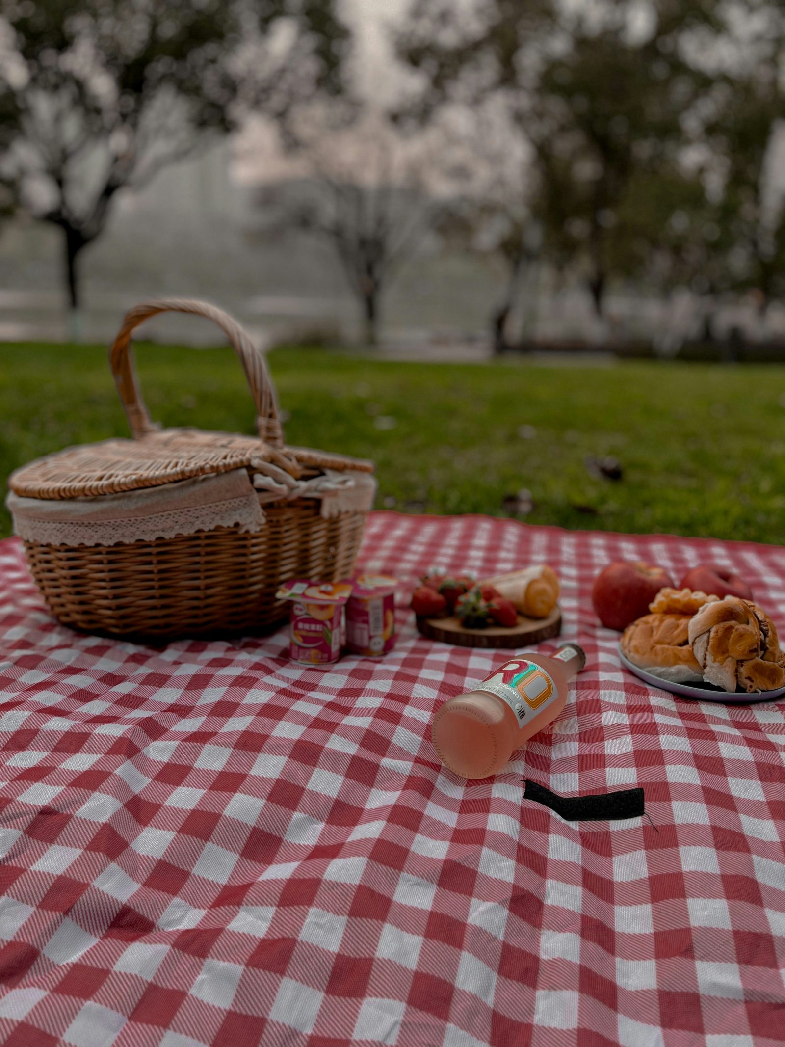 Picnic in the Park